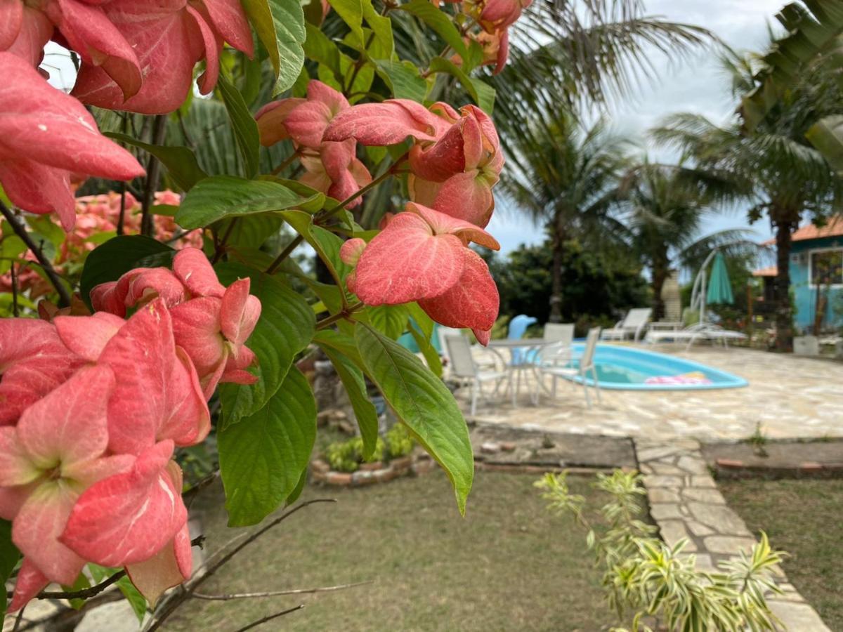 Hospedagem Recanto Das Orquideas 夸蒂斯 外观 照片